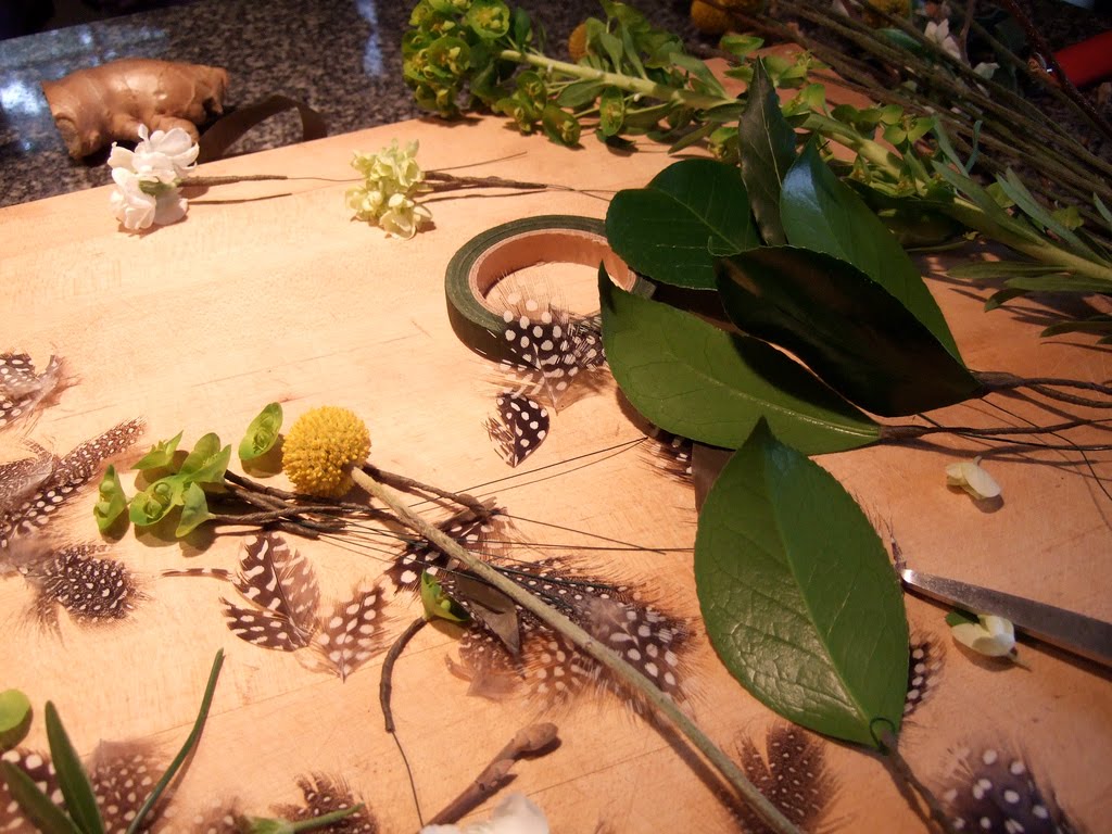 Real World Gardener Pittosporum Tasman Ruffles In Plant Of The Week