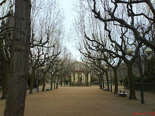 árboles parque Miguel Servet Huesca
