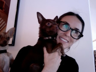 Demi Moore Chihuahua Demi Moore Chihuahua