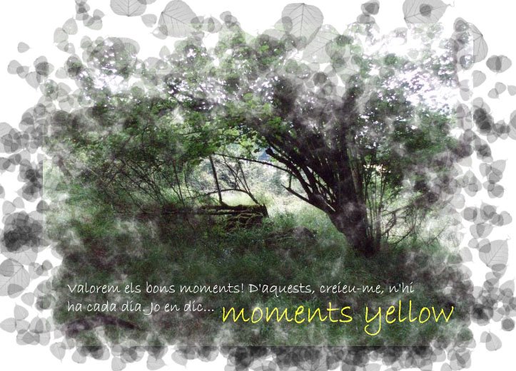 moments yellow
