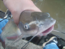 Catfishing on the river