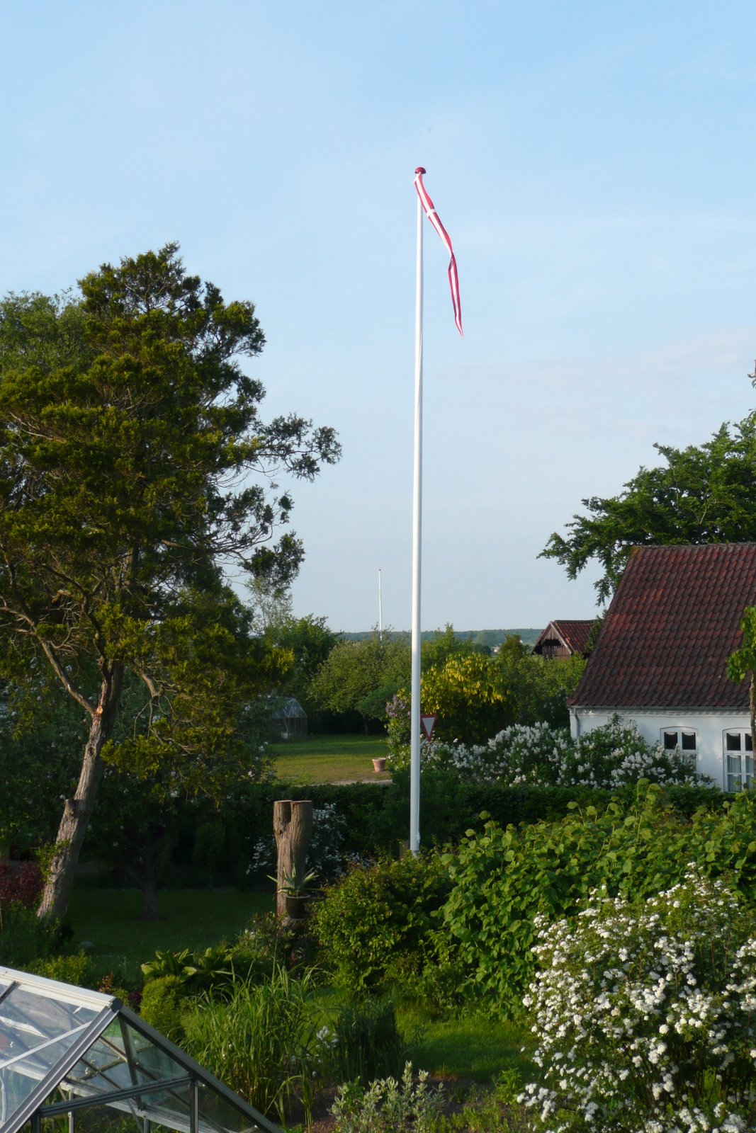 [Kopi+af+P1020065.JPG]