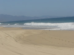 PLAYA FRENTE A RESTAURANT