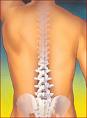 SPINE SURGERY