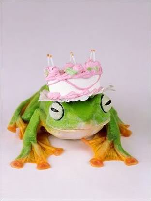birthday frog
