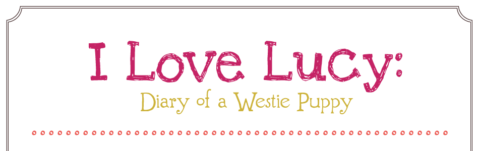 I Love Lucy: Diary of a Westie Puppy