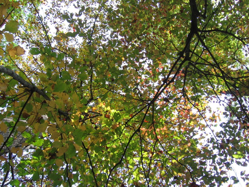 [IMG_2097.JPG]