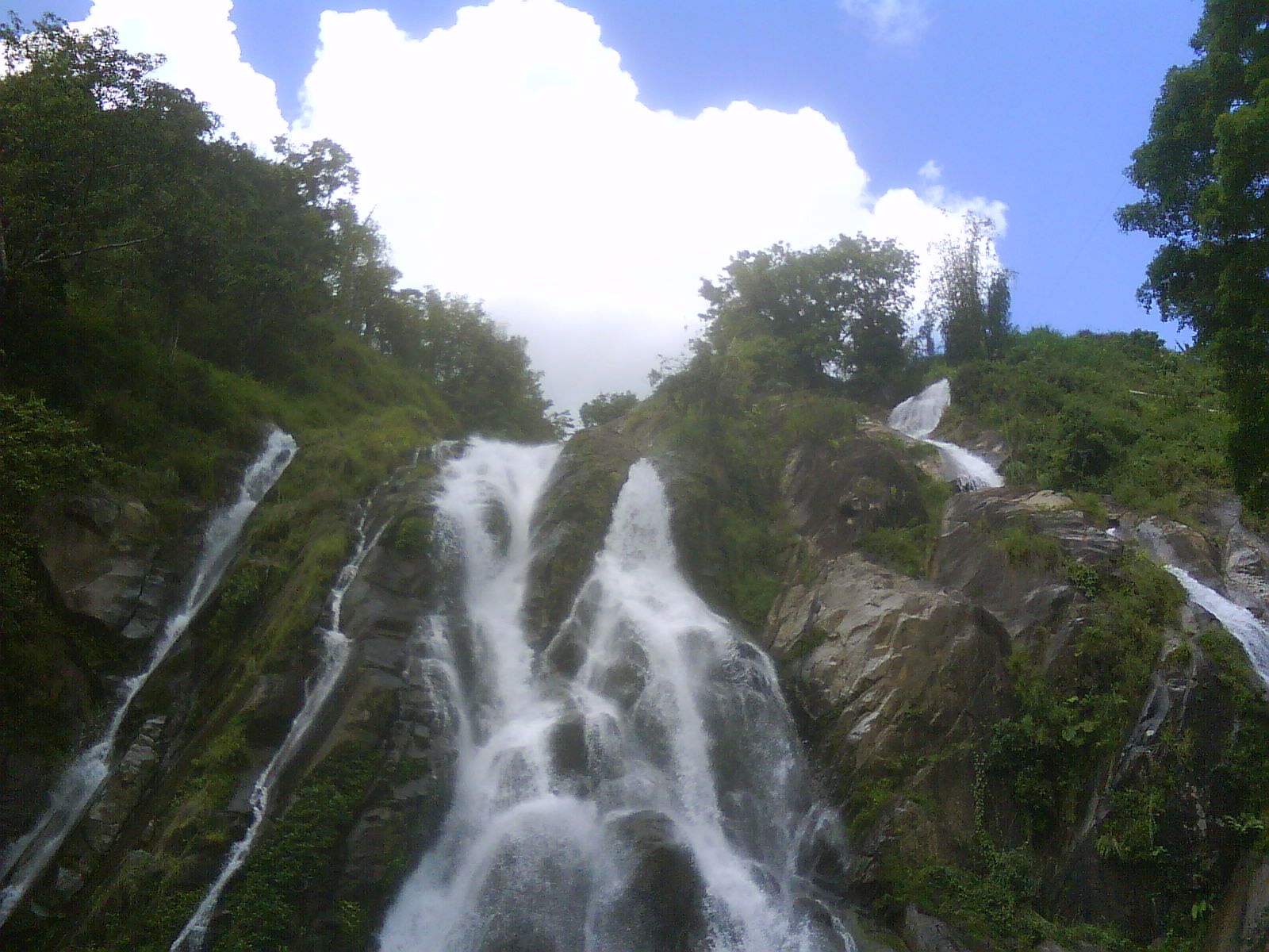 [DSC00255.JPG]