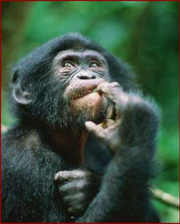 http://4.bp.blogspot.com/_paTr_8zZUsA/SsleiaRPHMI/AAAAAAAAAwo/OBW8jN8YXvg/s400/d%C3%BAvida.jpg