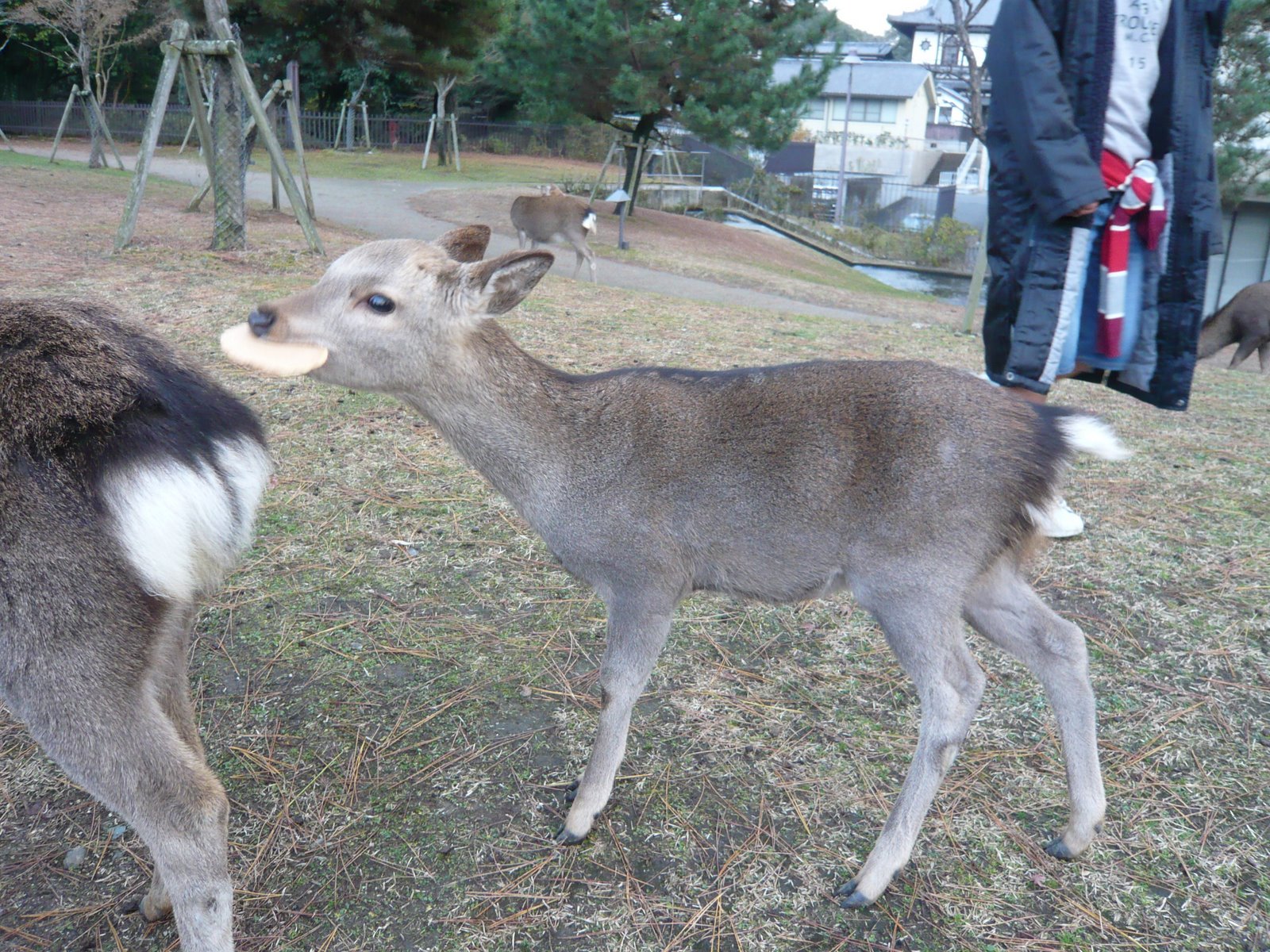 [P1010964.JPG]