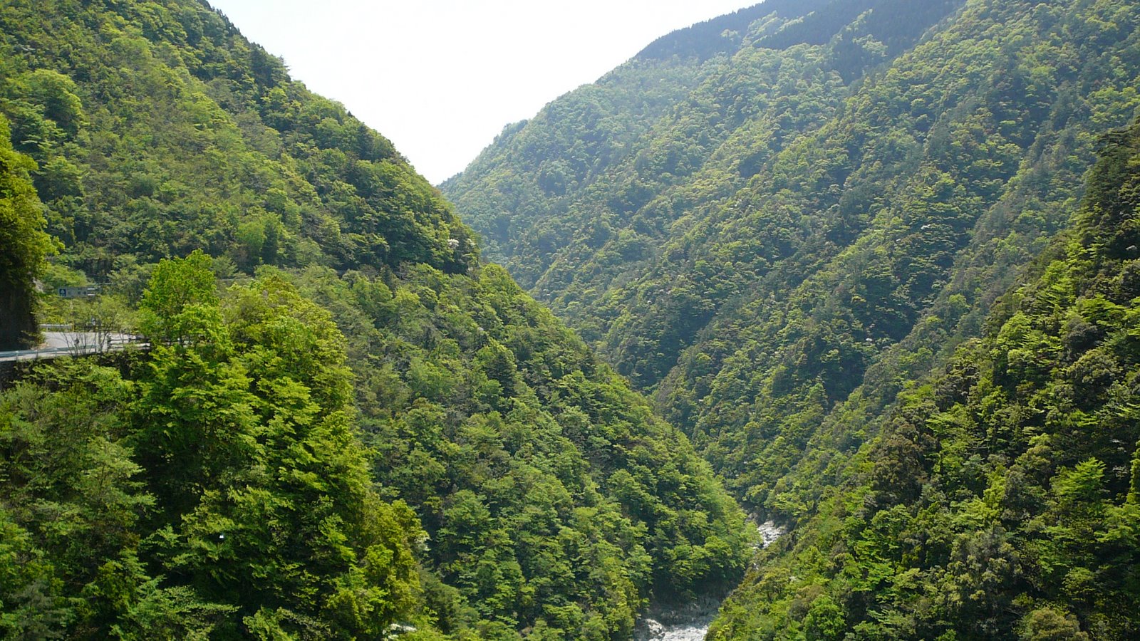 [P1100111.JPG]