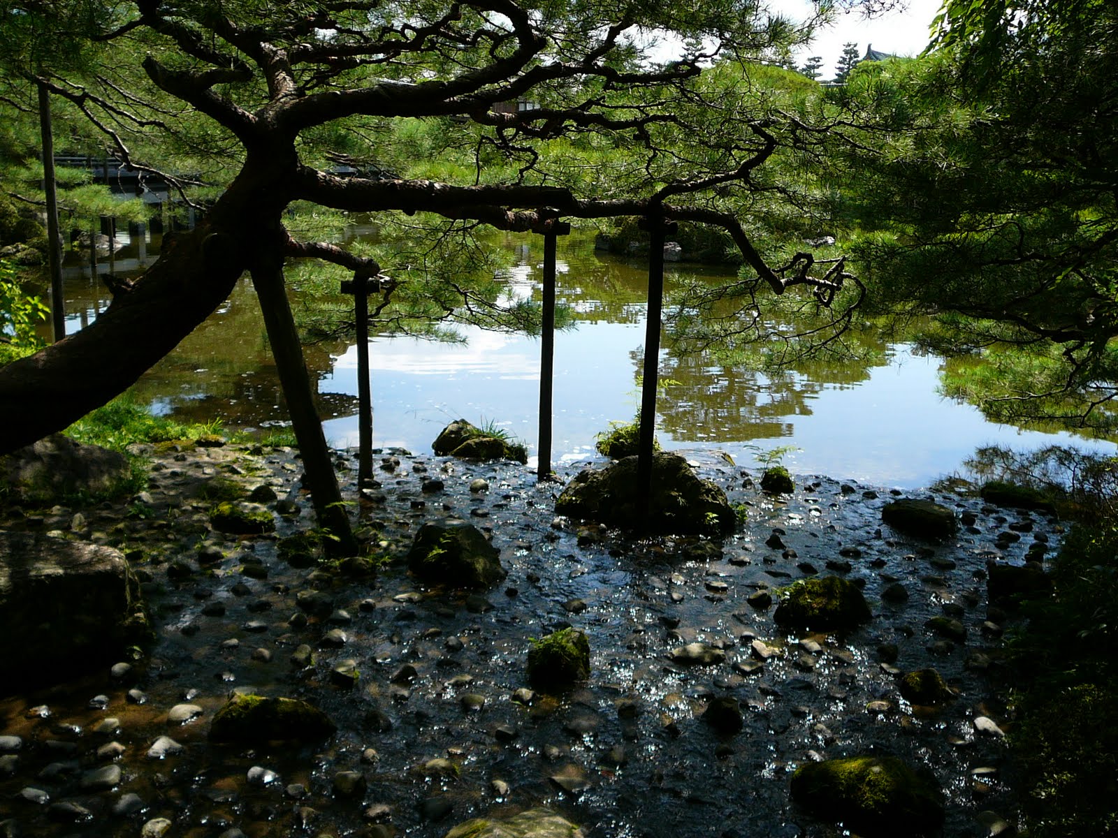 [P1130771.JPG]