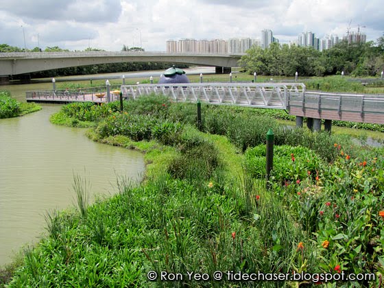 Sungei Punggol