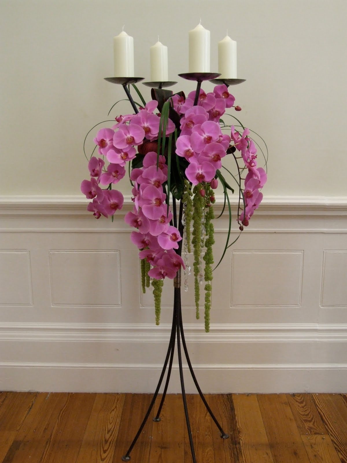 http://4.bp.blogspot.com/_pbR4rzHlM5k/TBpxpVbC-KI/AAAAAAAAAgk/0wm4WRCcjMw/s1600/pink+phalaenopsis+candlabra%5B1%5D+(2).jpg