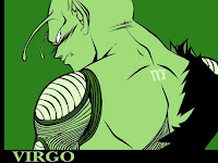Dragon Ball Z:Horoscopo Virgo