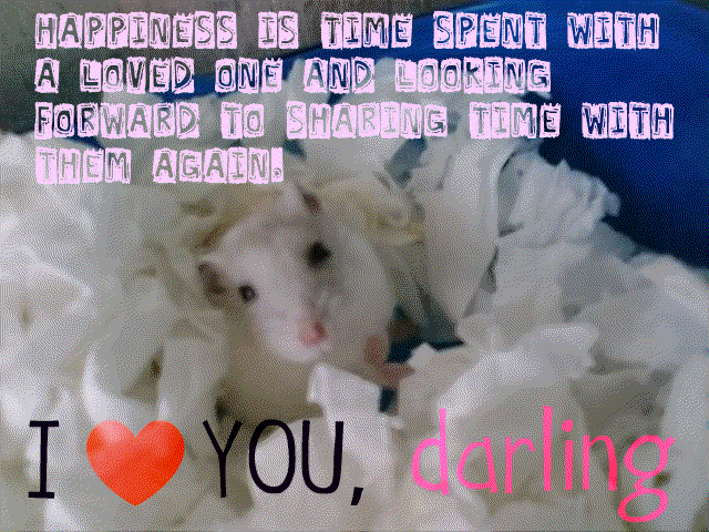 [love+darling...gif]