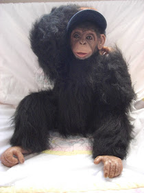 reborn chimpanzee
