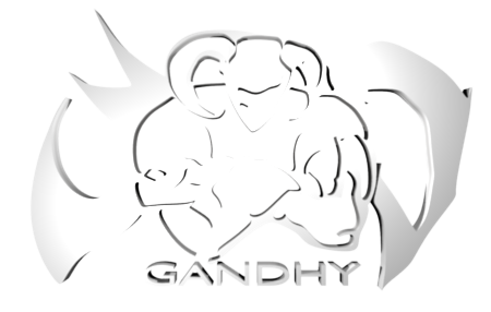 GANDHY3D