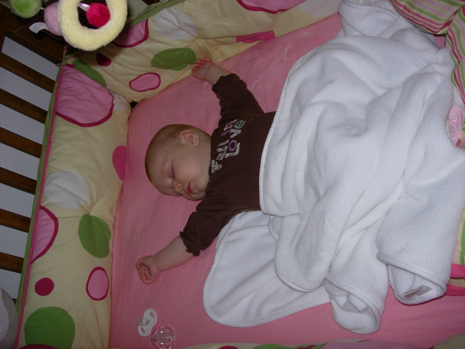 [DSCN2297.JPG]