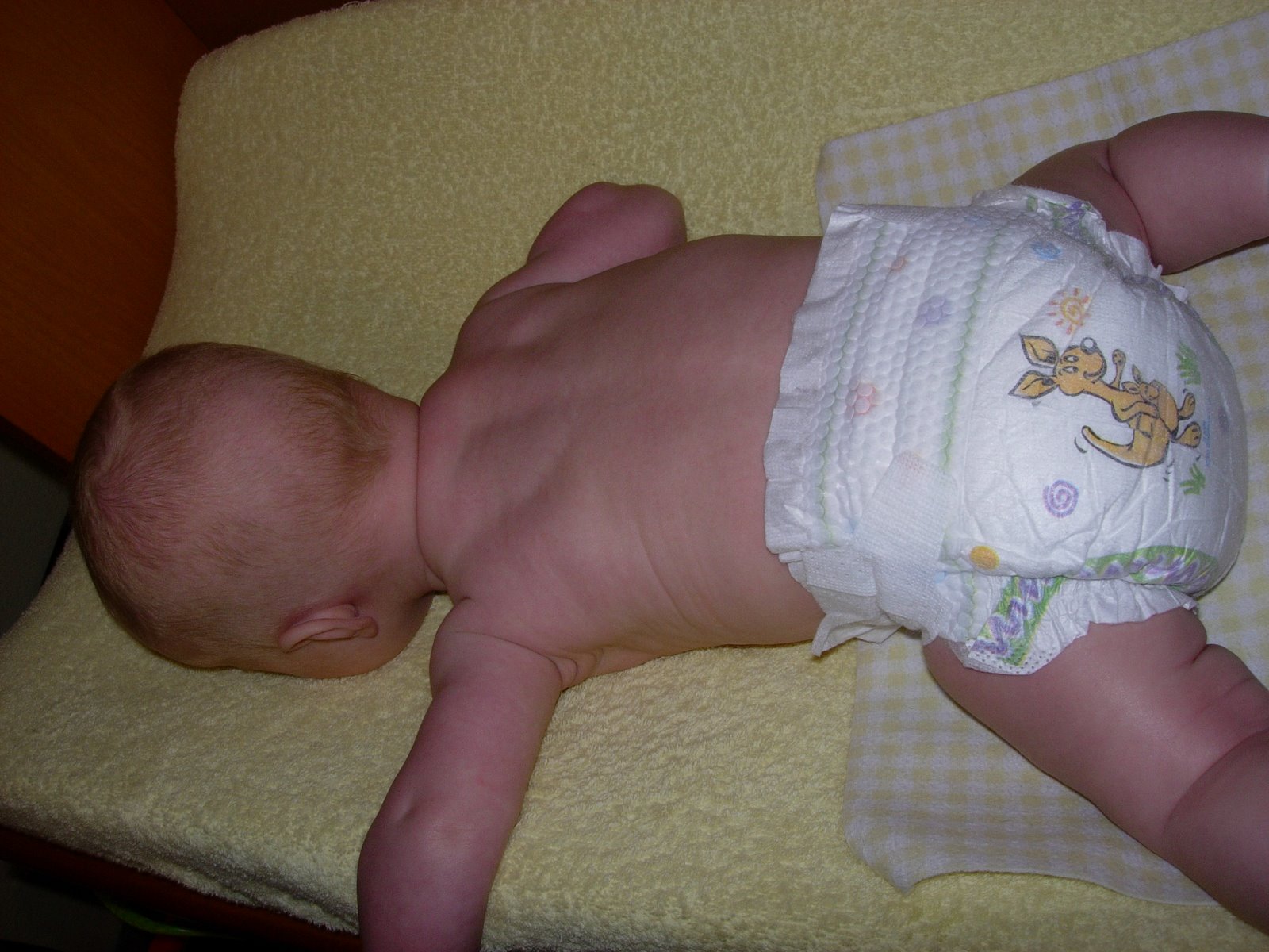 [DSCN2258.JPG]