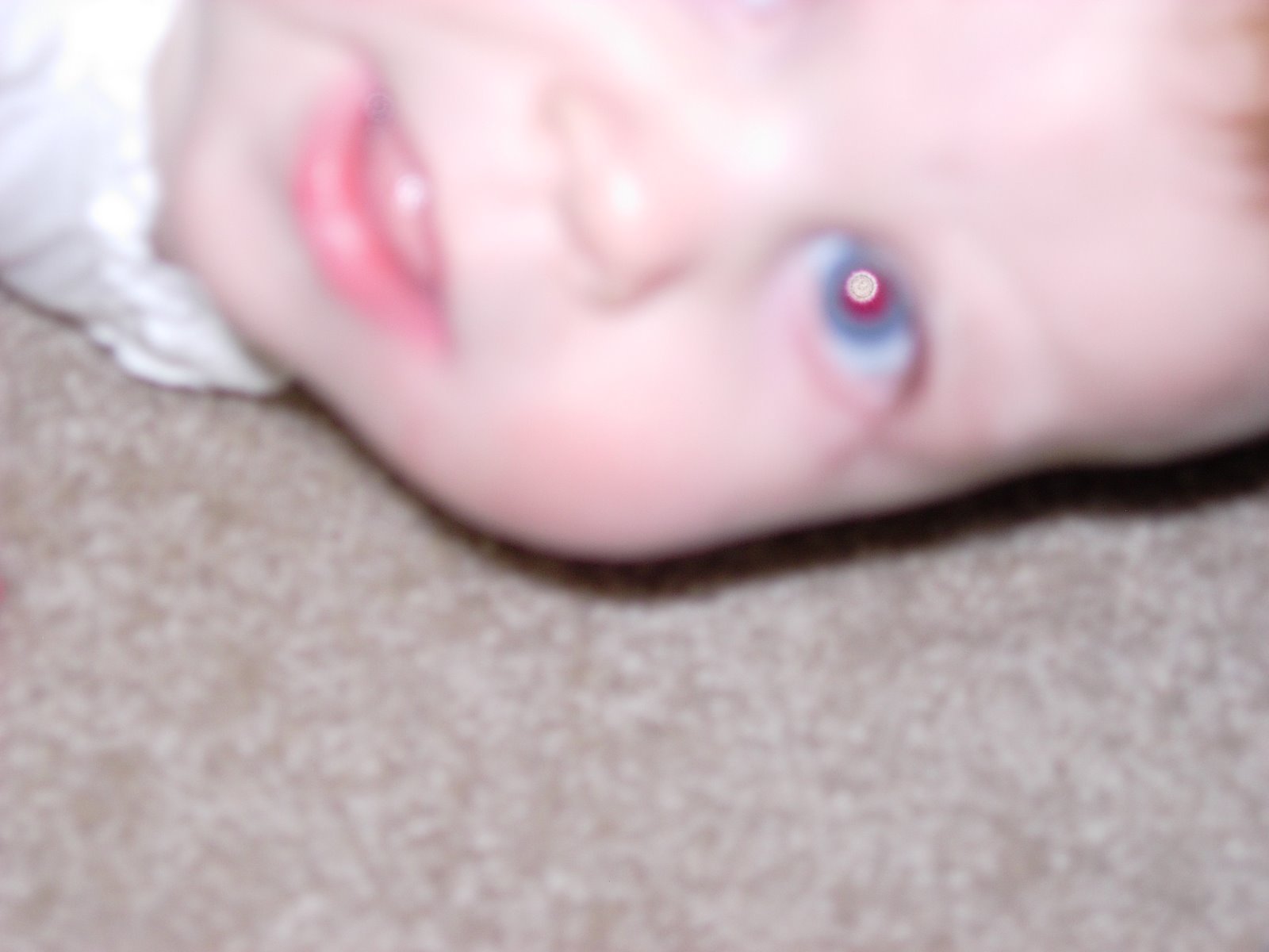 [DSCN2412.JPG]