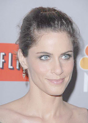 Amanda Peet NBC Summer Press Tour TCA