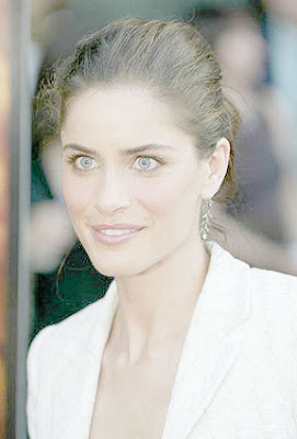 Amanda Peet We Don't Live Here Anymore