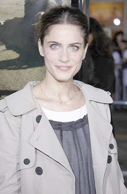 Amanda Peet The Kingdom