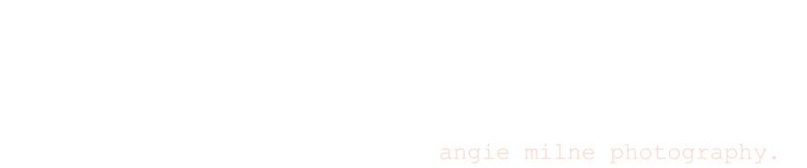 angie milne photography