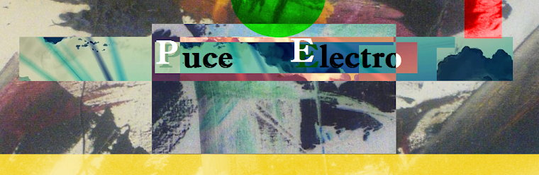 Puce Electro