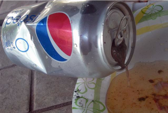 [mouse_in_the_pepsi_03.jpg]