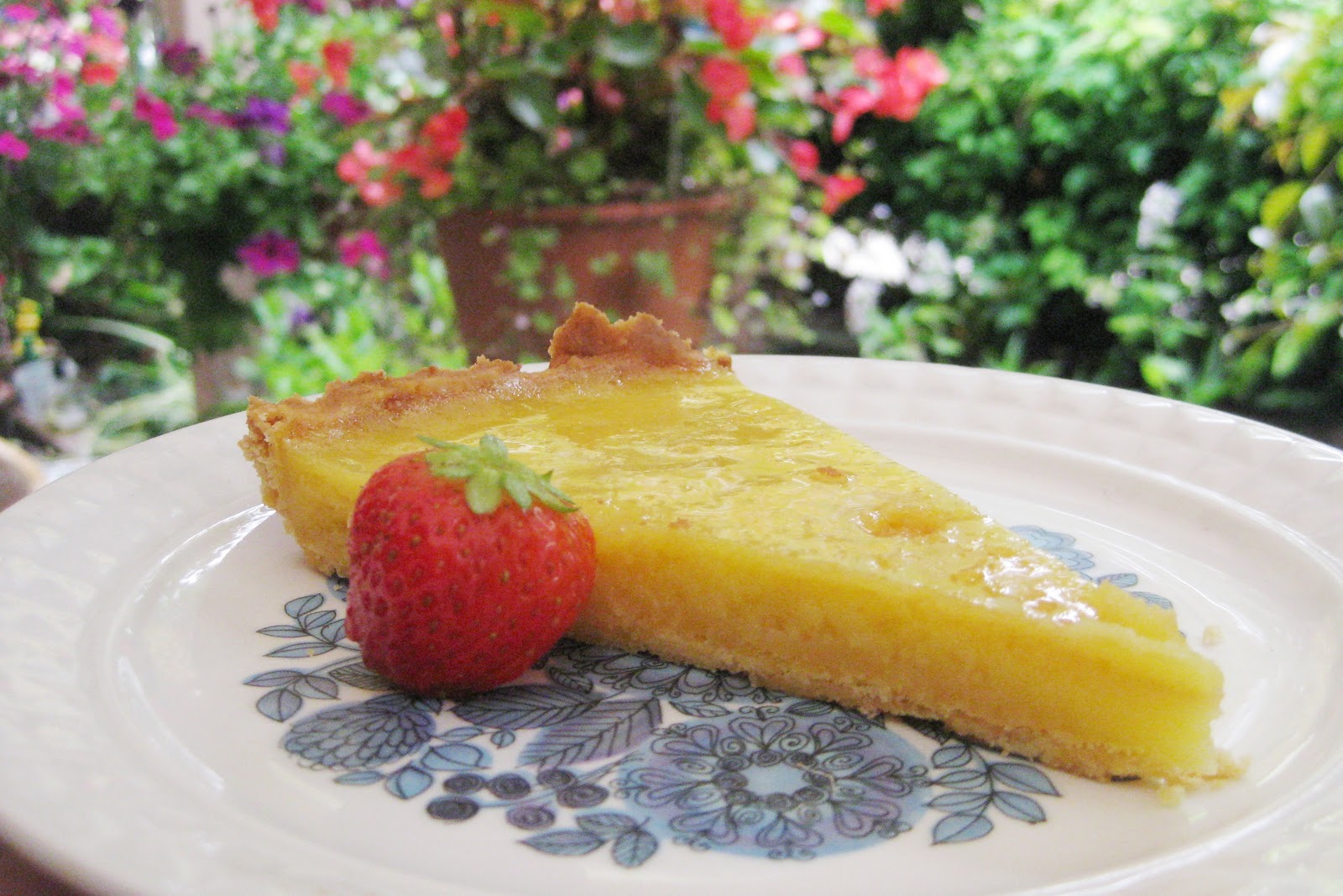 Lemon Citrus Tart