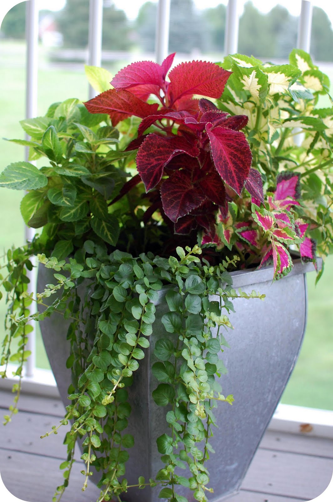 33 Shades of Green Container Gardening