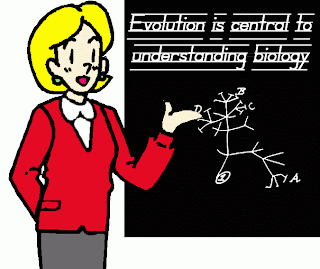 Proto-Knowledge: Efforts to Improve Evolution Teaching Bearing Fruit