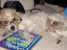 Morty's Blog