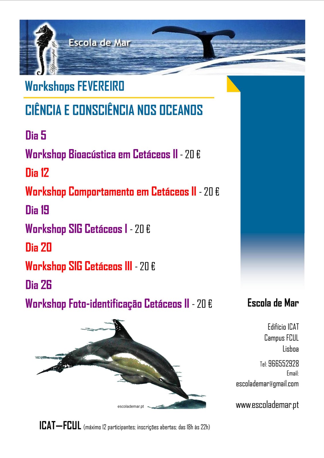 [Workshops+FEV+2010.jpg]