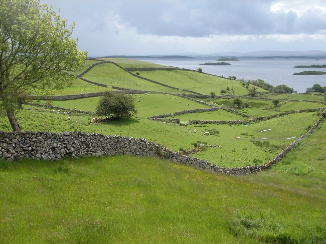 [Galway+coast.jpg]