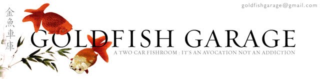 Goldfish Garage: A Two Car Fishroom