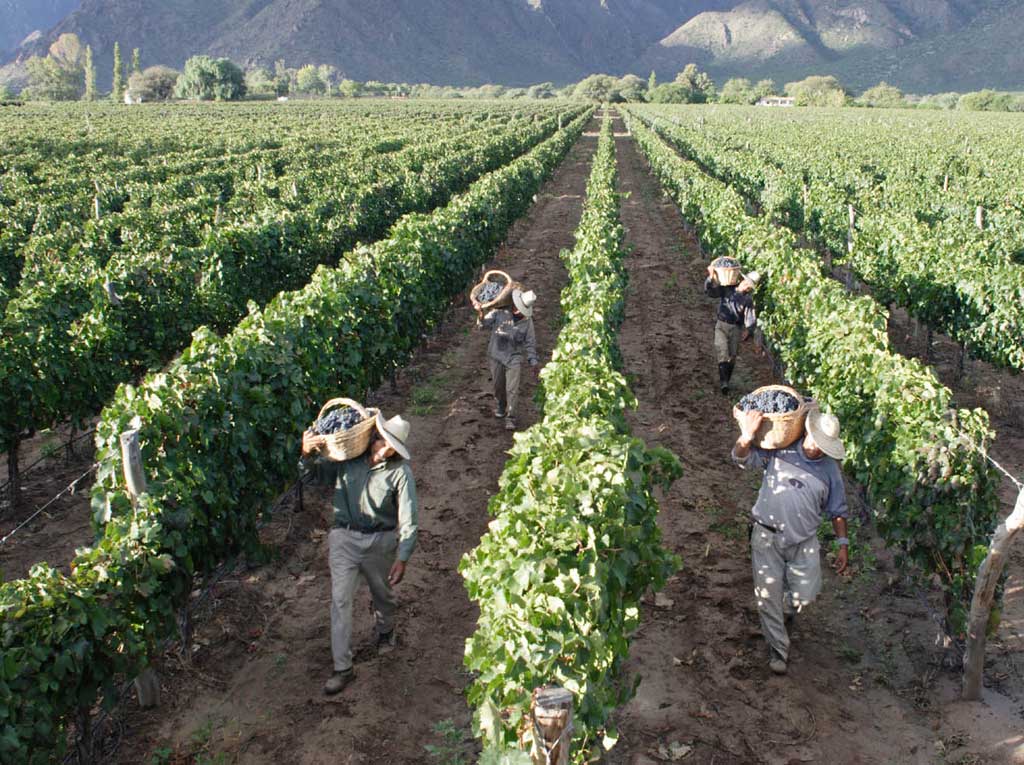 ITALIA REGION NATURAL italia region natural: