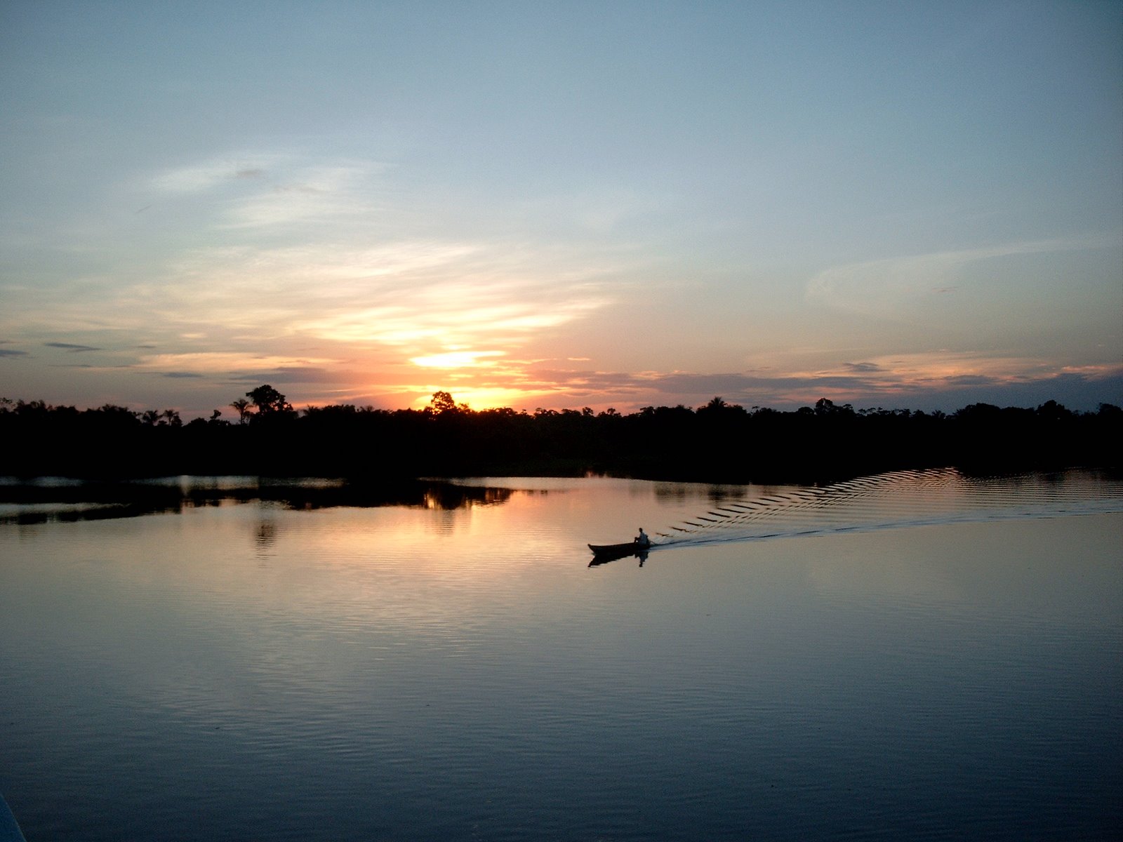 [ARX-Amazonas.jpg]