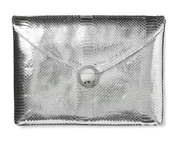 [SilverPythonClutchExterior+LR2.jpg]