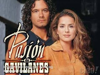 Hidden Passion movie