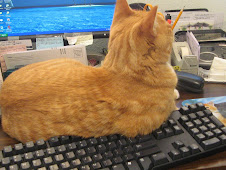Article Research