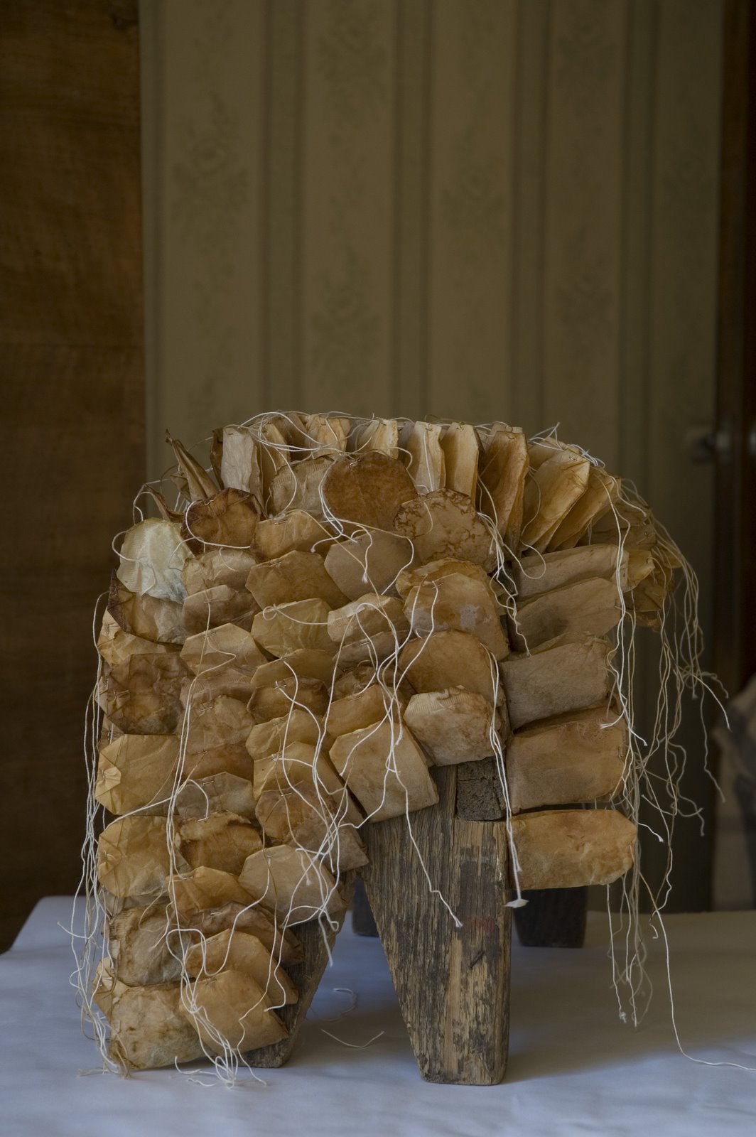 [DSC_0789.jpg]