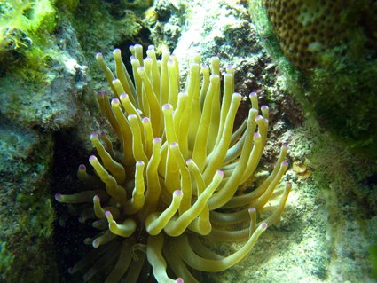[IMG_0484.JPG]