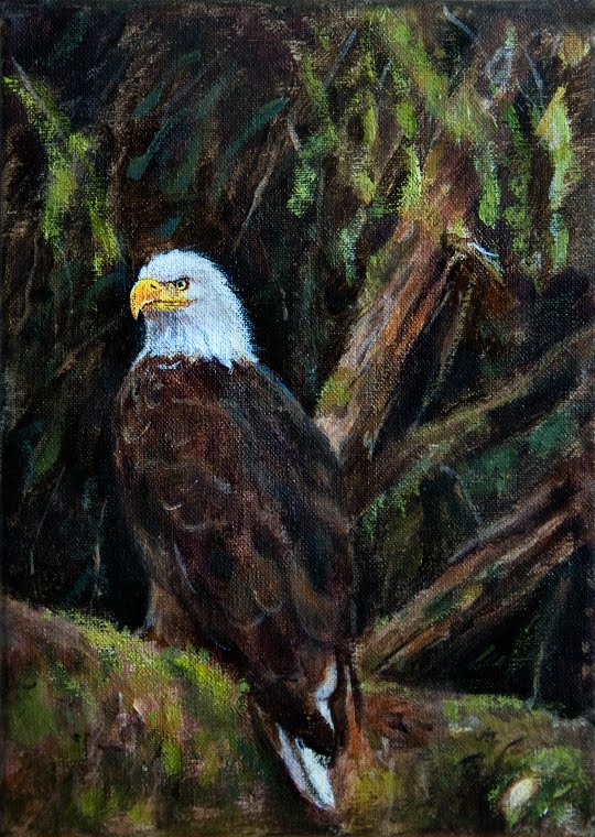 Paintings and sketches by Erik van Elven: Bald eagle painting