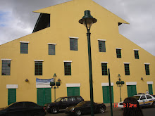 Aibonito 2007