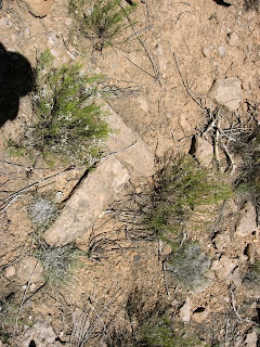 Corner Rocks from Pueblo Ruins - Otowi