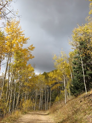 Aspen Vista Trail