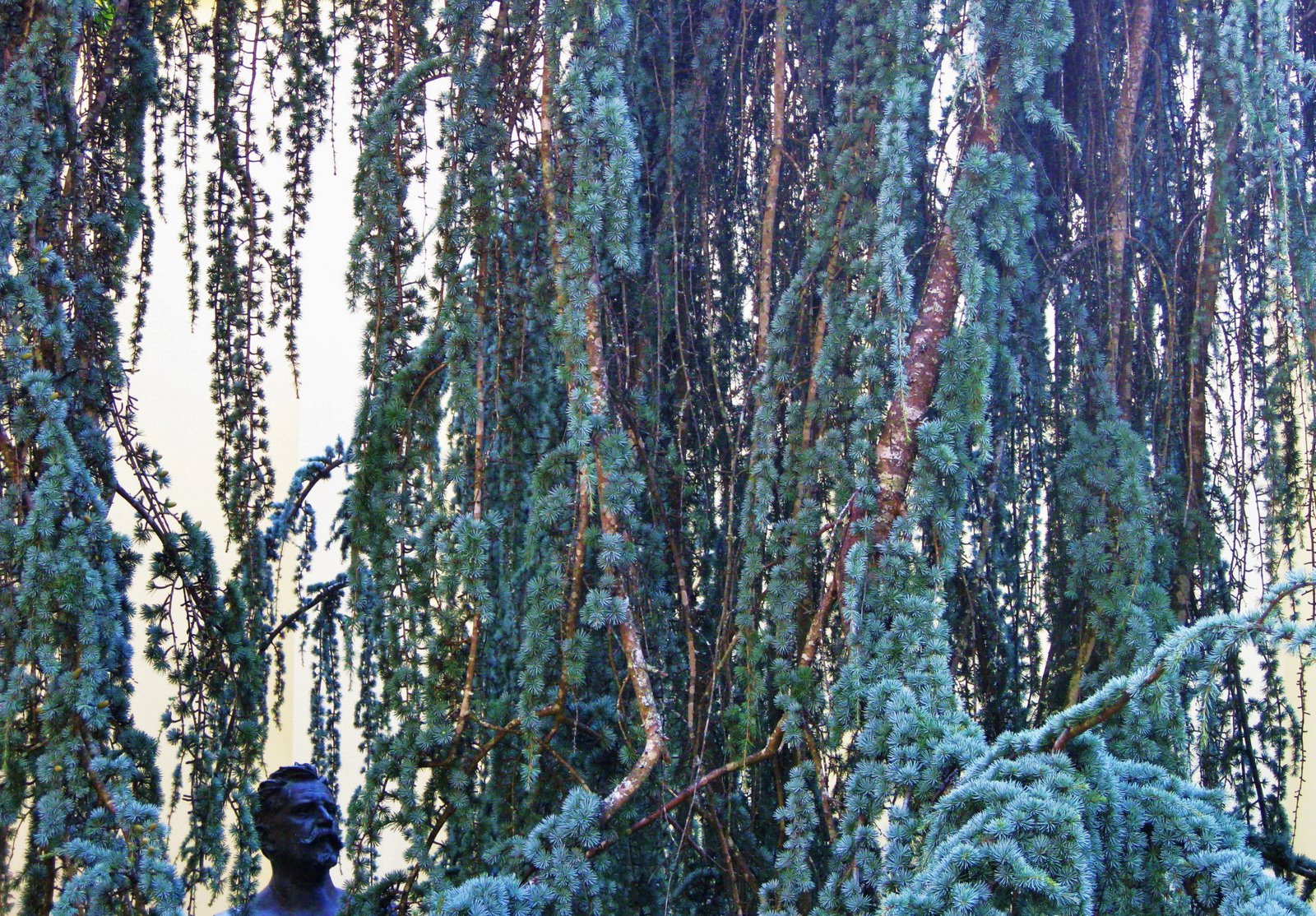[parque22b.jpg]